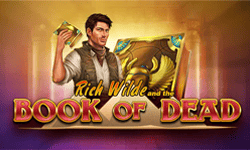 Book of Dead Slot